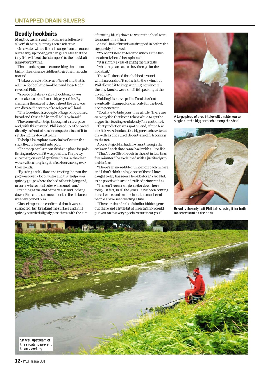 Improve Your Coarse Fishing Preview Pages