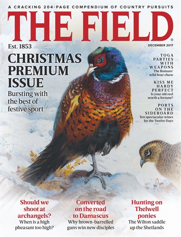The Field issue December 2017