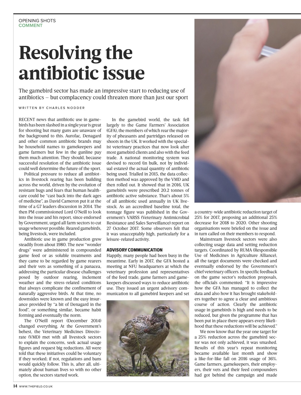 The Field Preview Pages