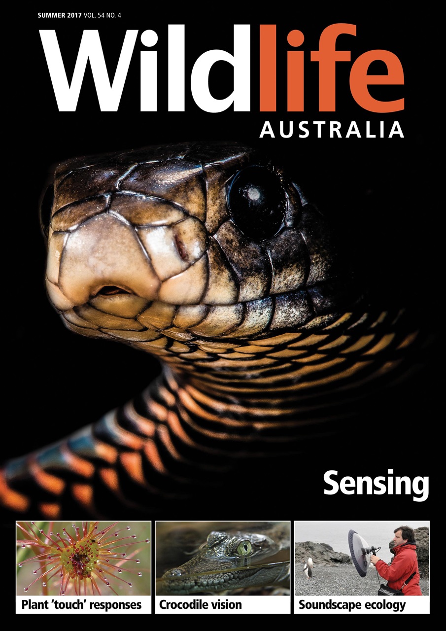 Wildlife Australia Preview Pages
