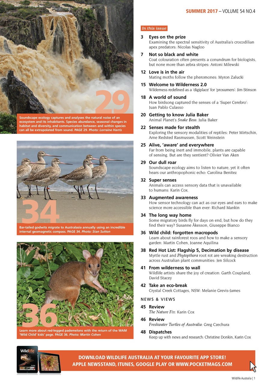 Wildlife Australia Preview Pages