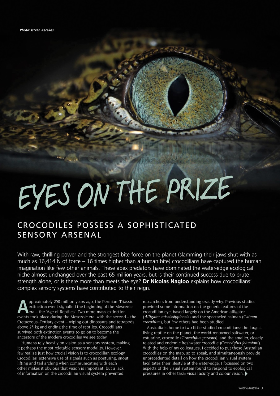 Wildlife Australia Preview Pages