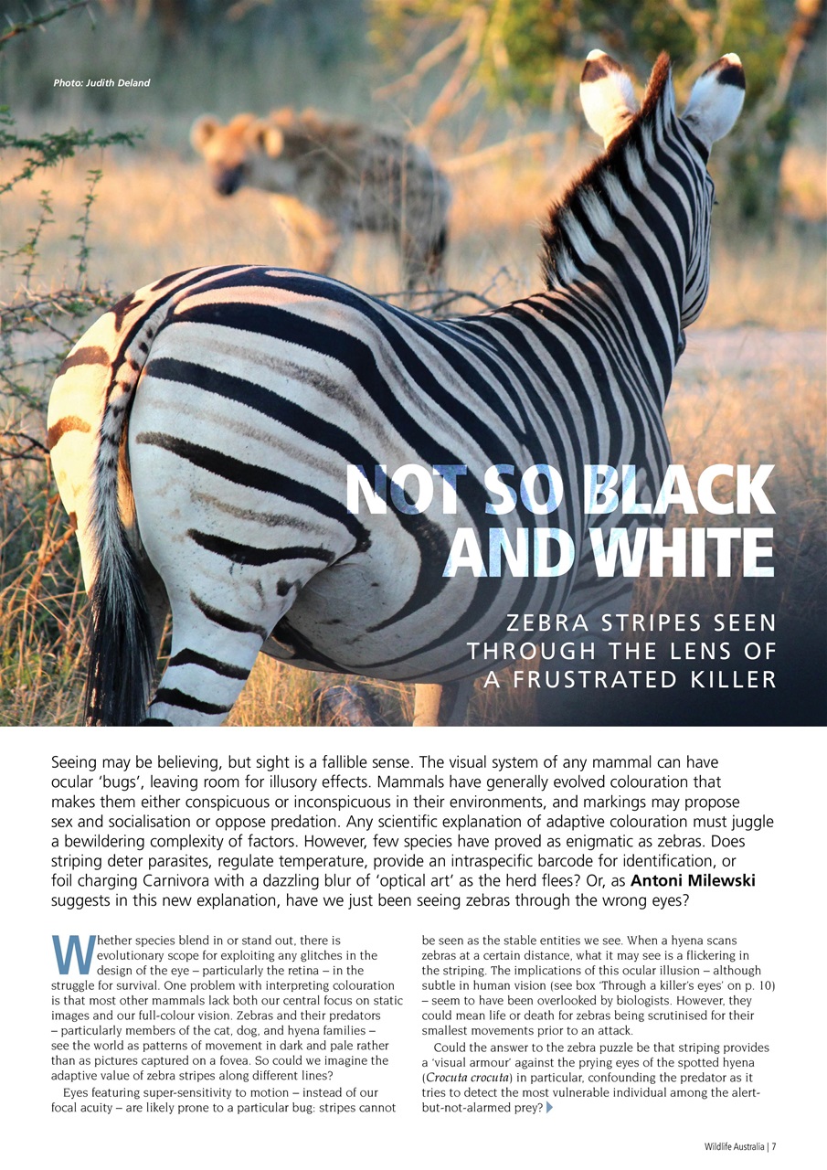 Wildlife Australia Preview Pages