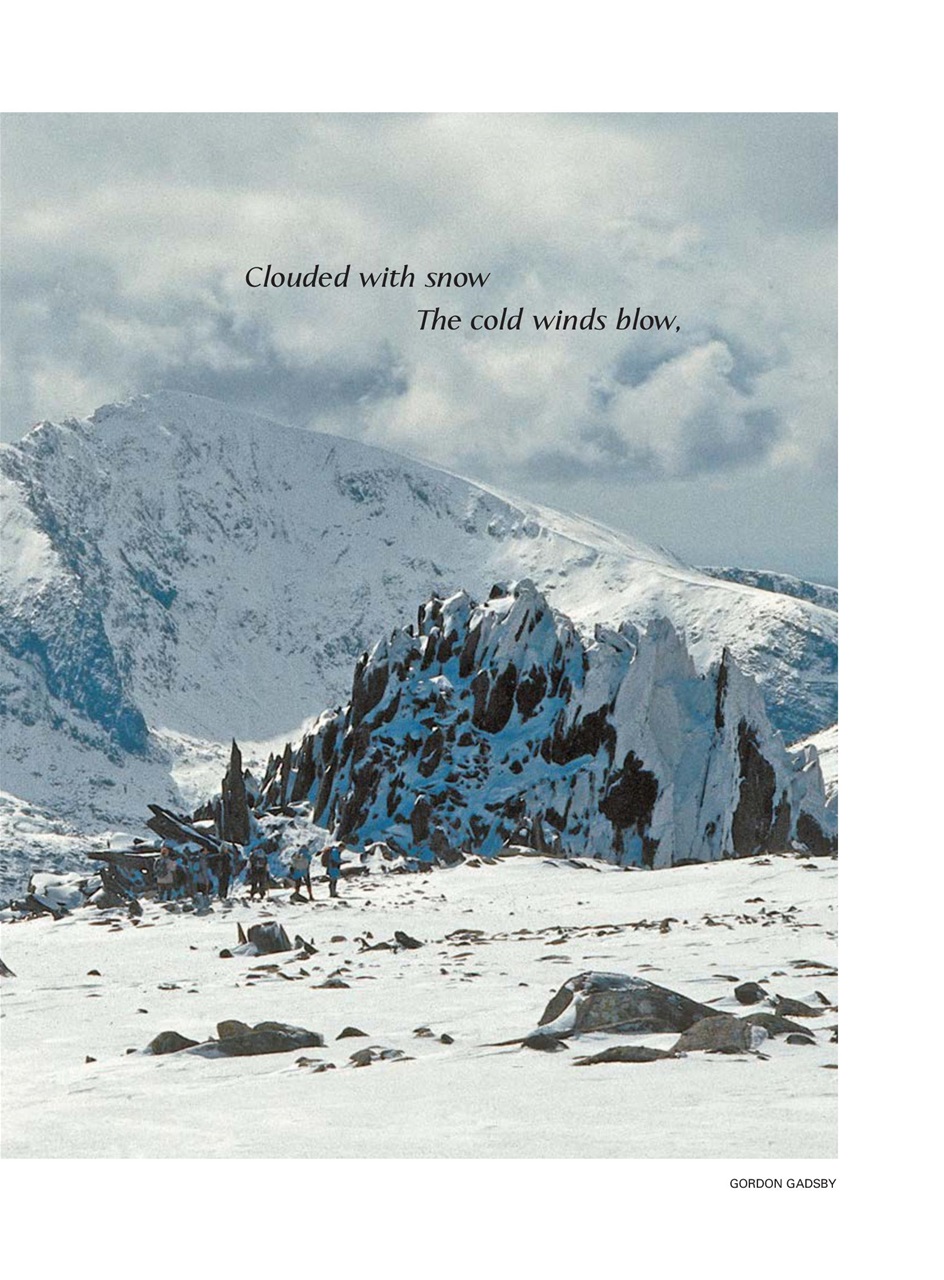 Evergreen Preview Pages