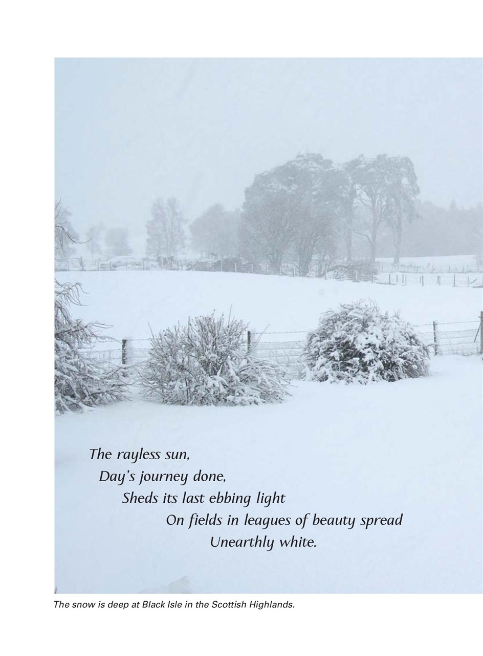 Evergreen Preview Pages