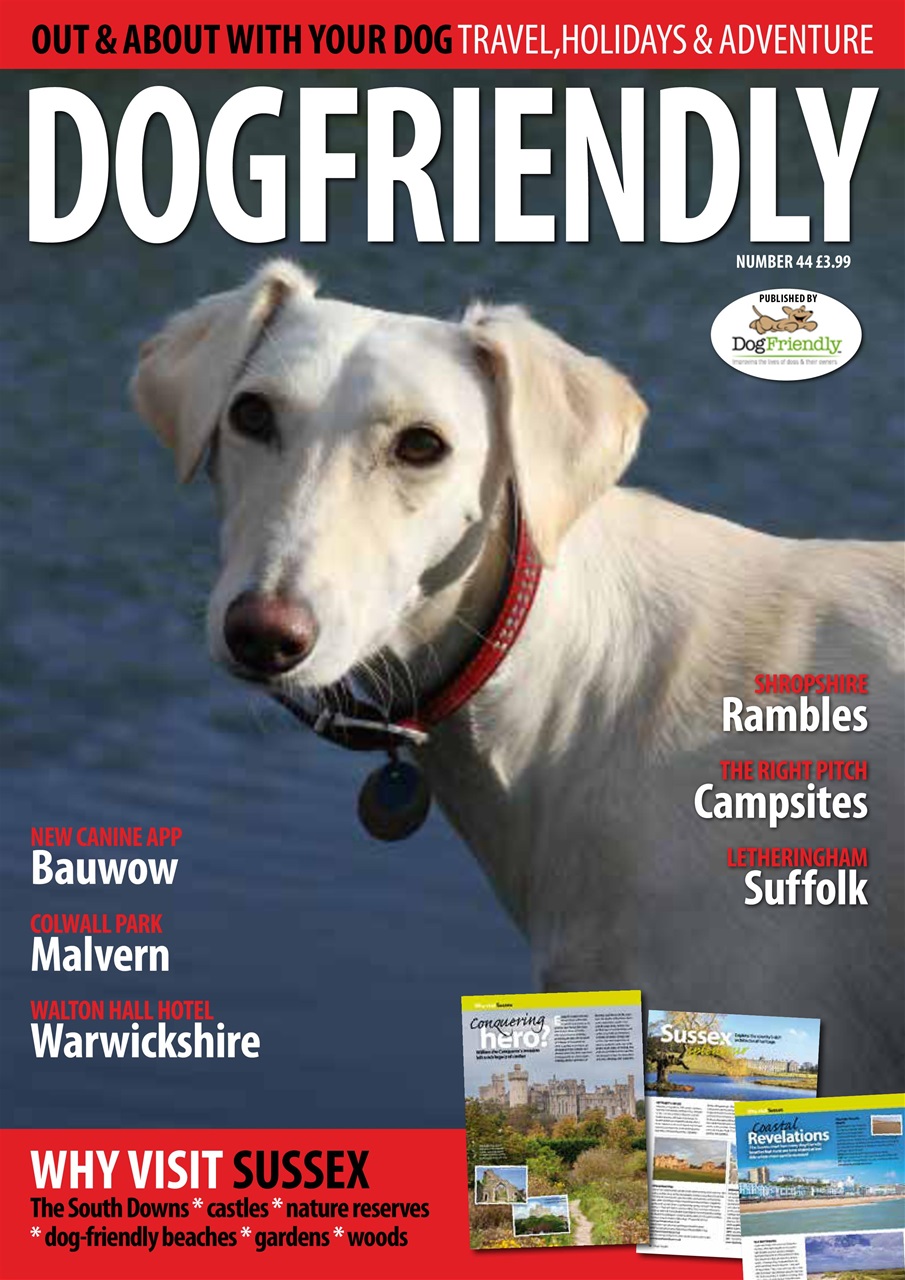 Dog Friendly Preview Pages