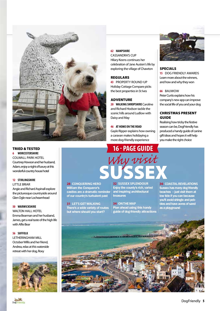 Dog Friendly Preview Pages