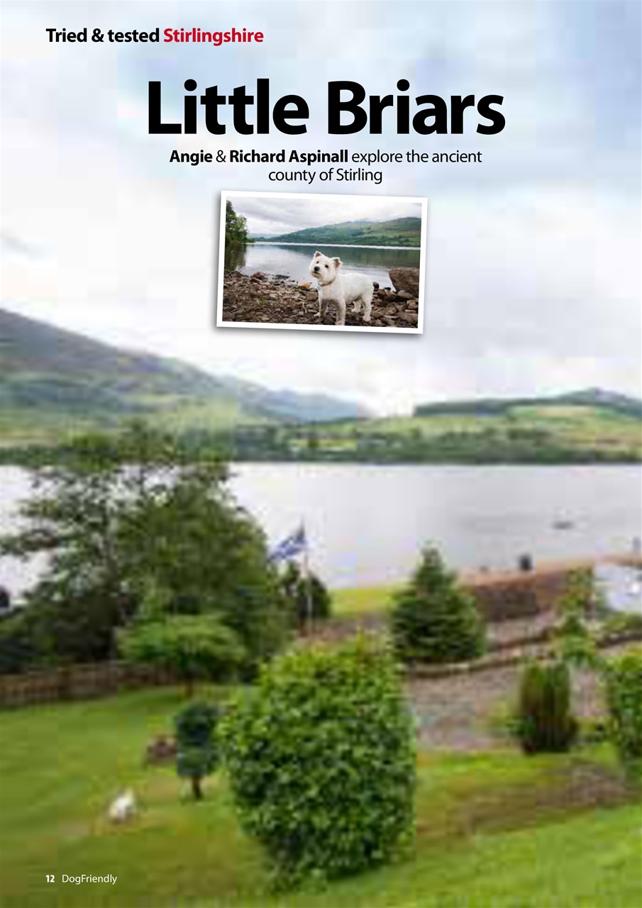 Dog Friendly Preview Pages