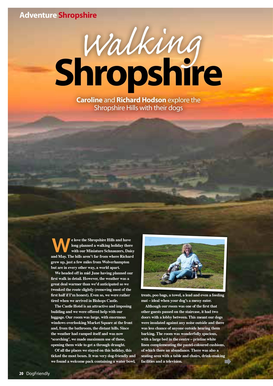 Dog Friendly Preview Pages