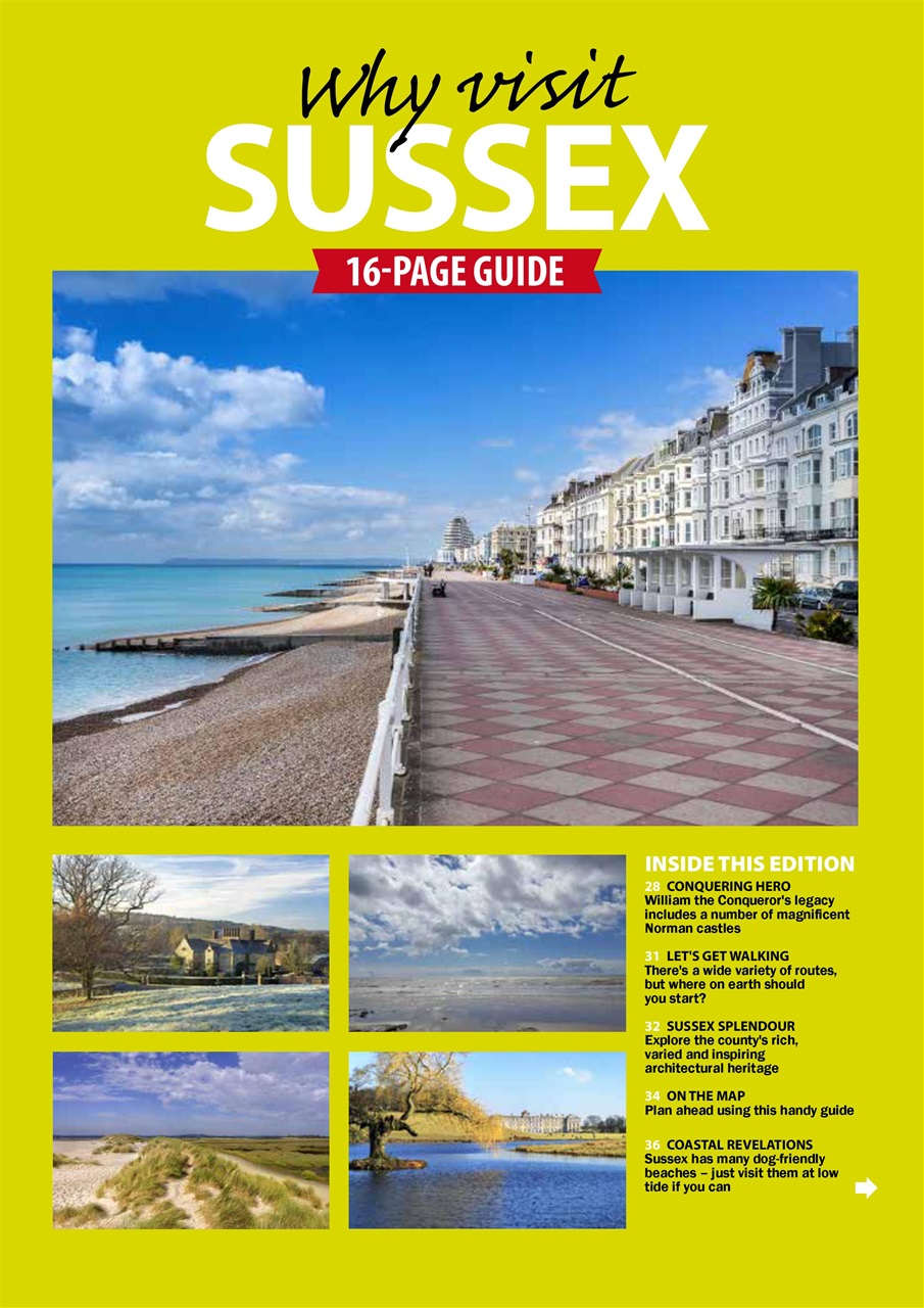 Dog Friendly Preview Pages