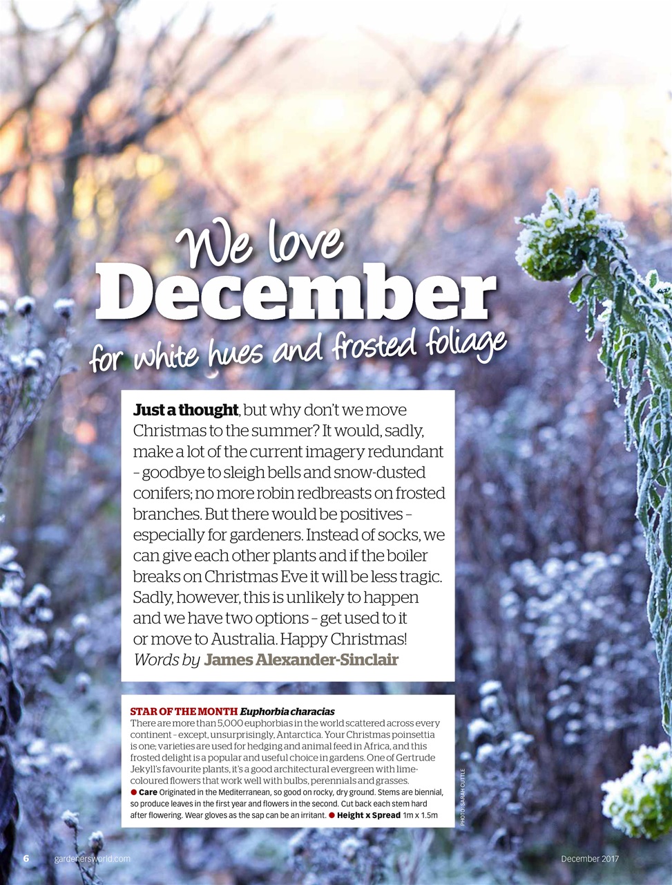 BBC Gardeners’ World Magazine Preview Pages