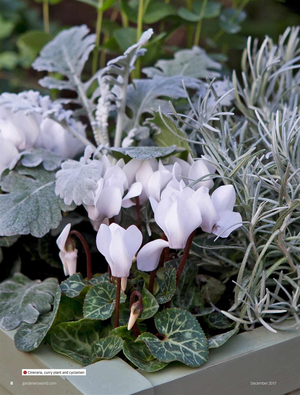 BBC Gardeners’ World Magazine Preview Pages