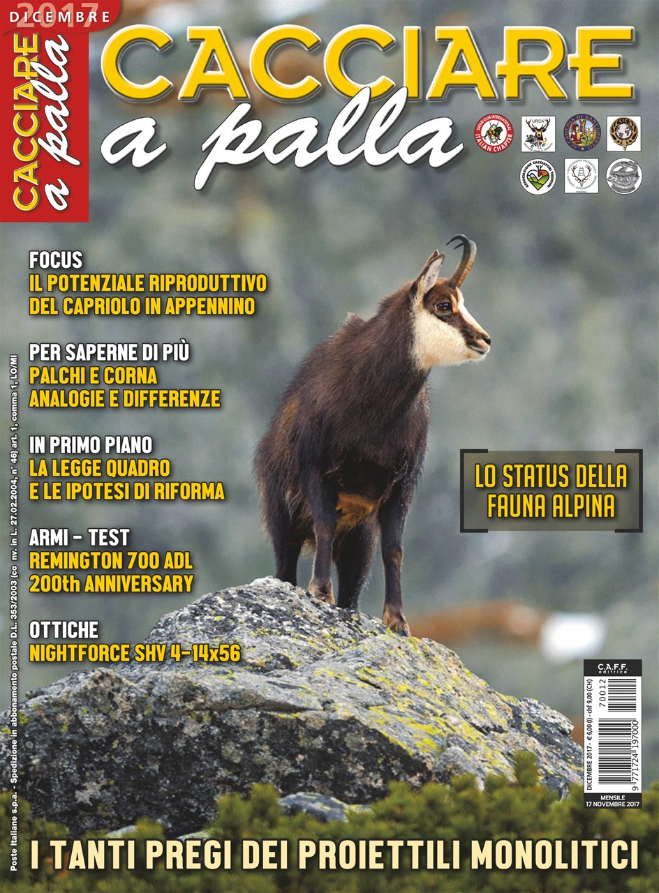 Caccia Magazine Preview Pages