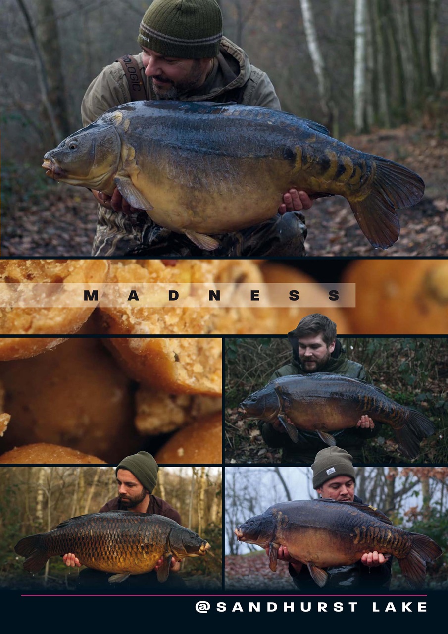 Total Carp Preview Pages