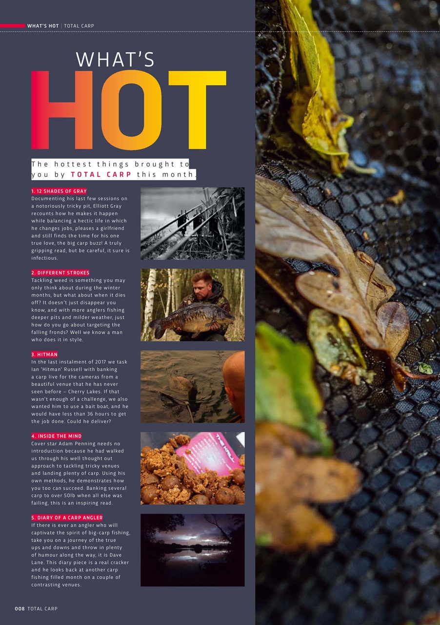 Total Carp Preview Pages