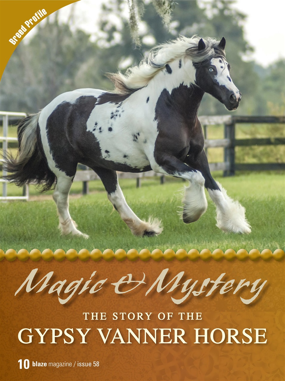 Blaze Magazine For Horse Crazy Kids Preview Pages