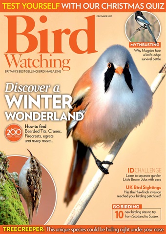 Bird Watching issue December 2017
