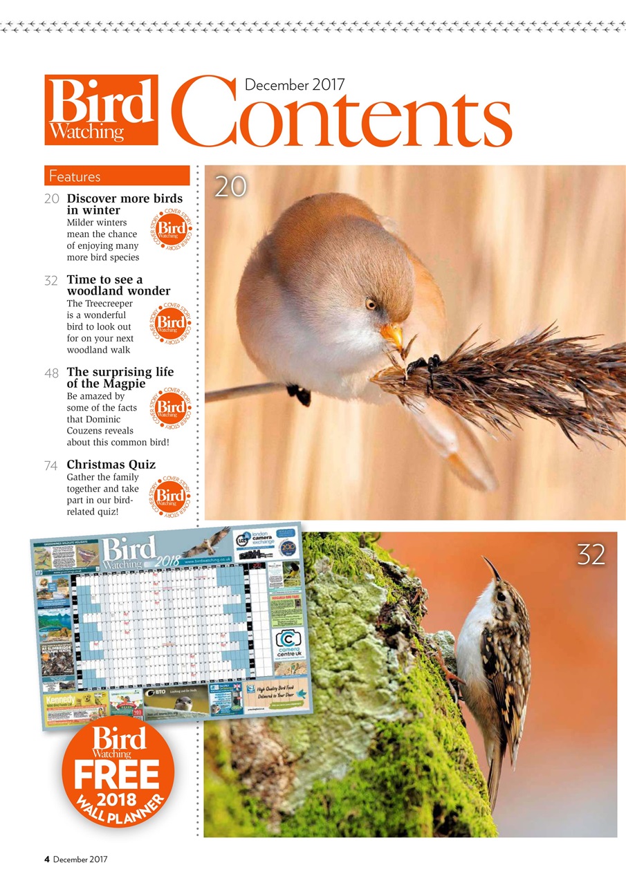 Bird Watching Preview Pages