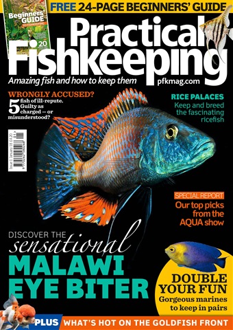 Practical Fishkeeping issue January 2018