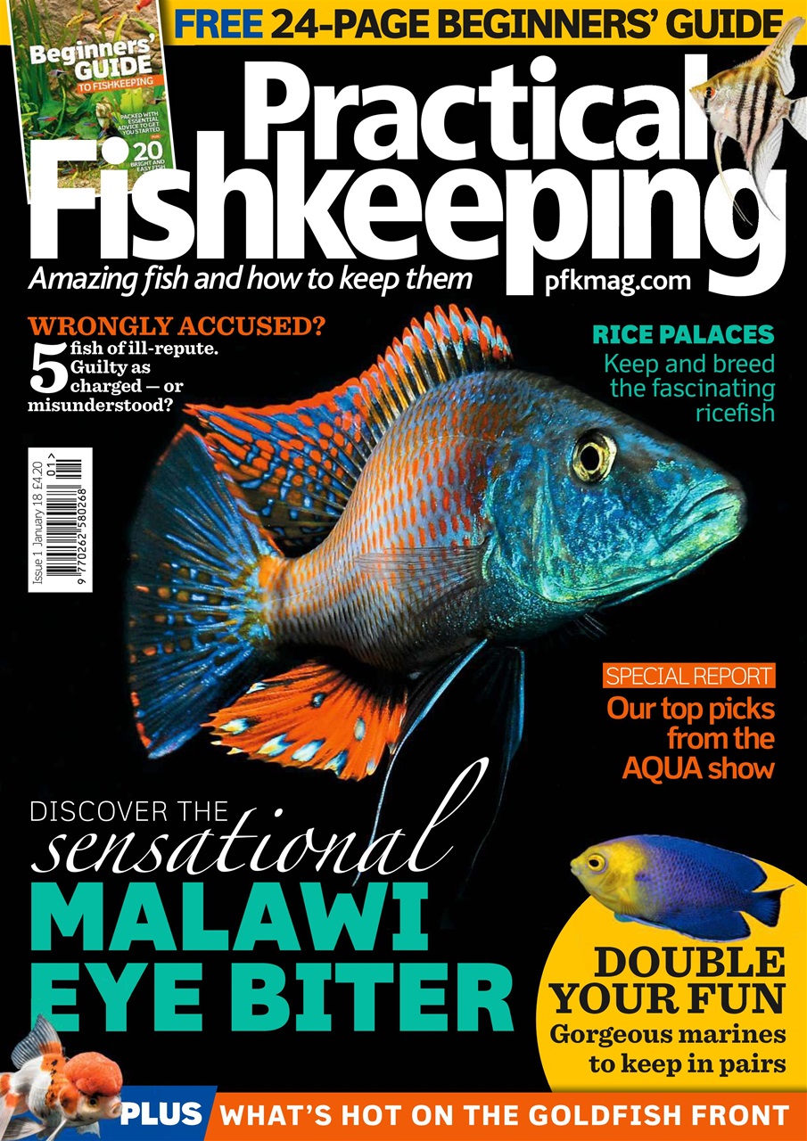 Practical Fishkeeping Preview Pages