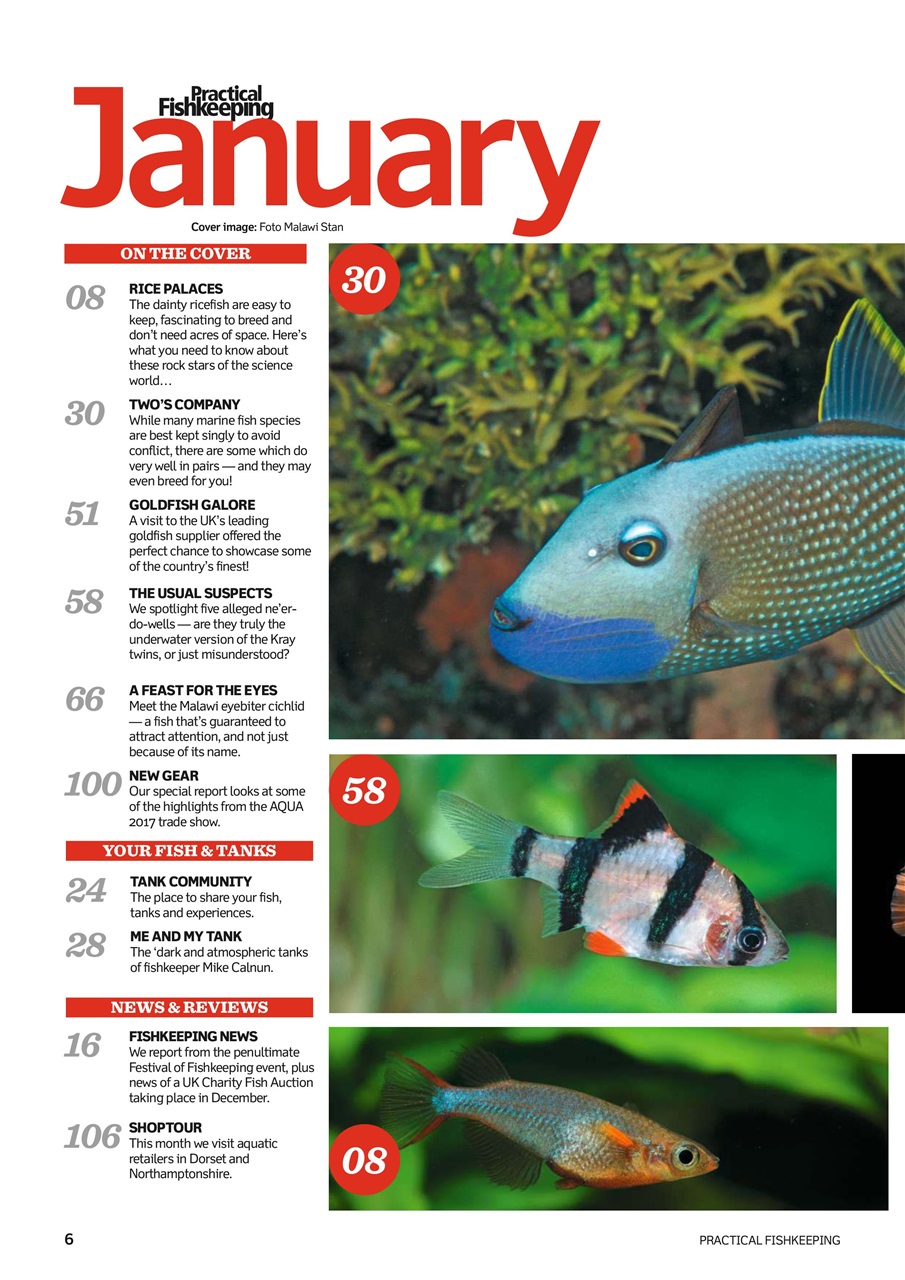 Practical Fishkeeping Preview Pages
