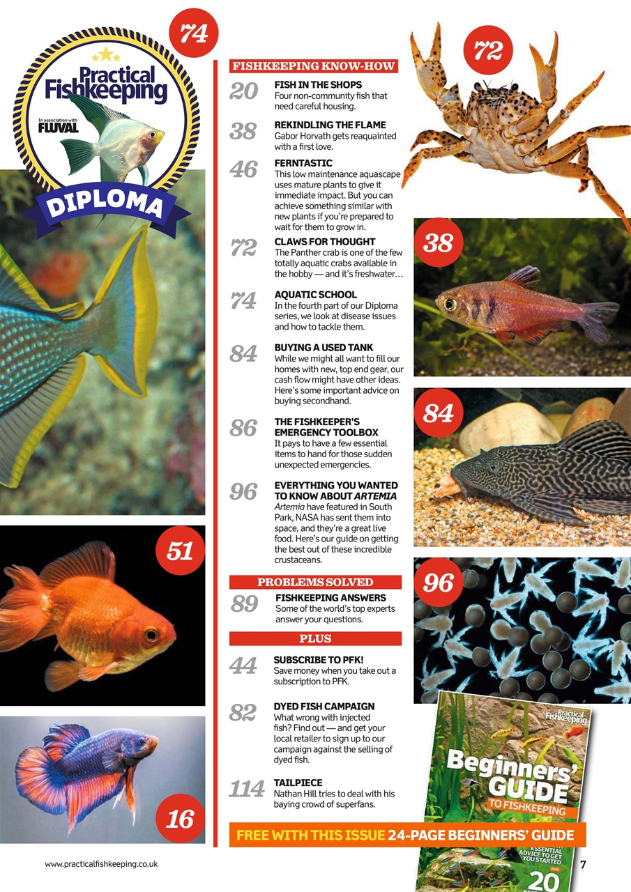 Practical Fishkeeping Preview Pages
