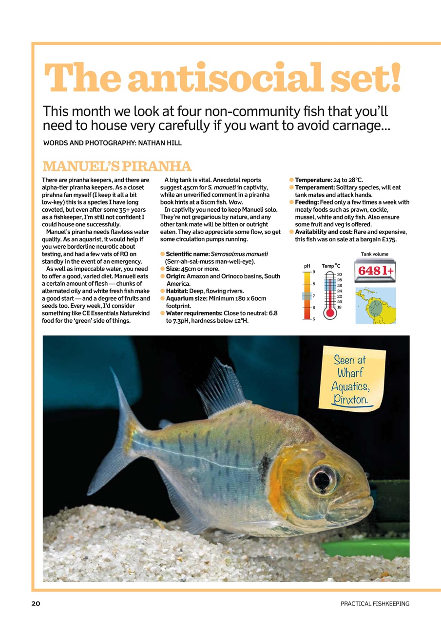 Practical Fishkeeping Preview Pages