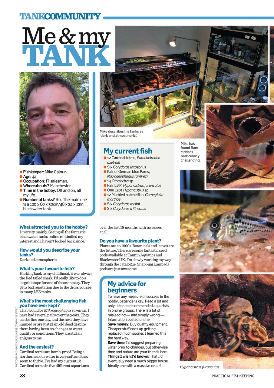 Practical Fishkeeping Preview Pages