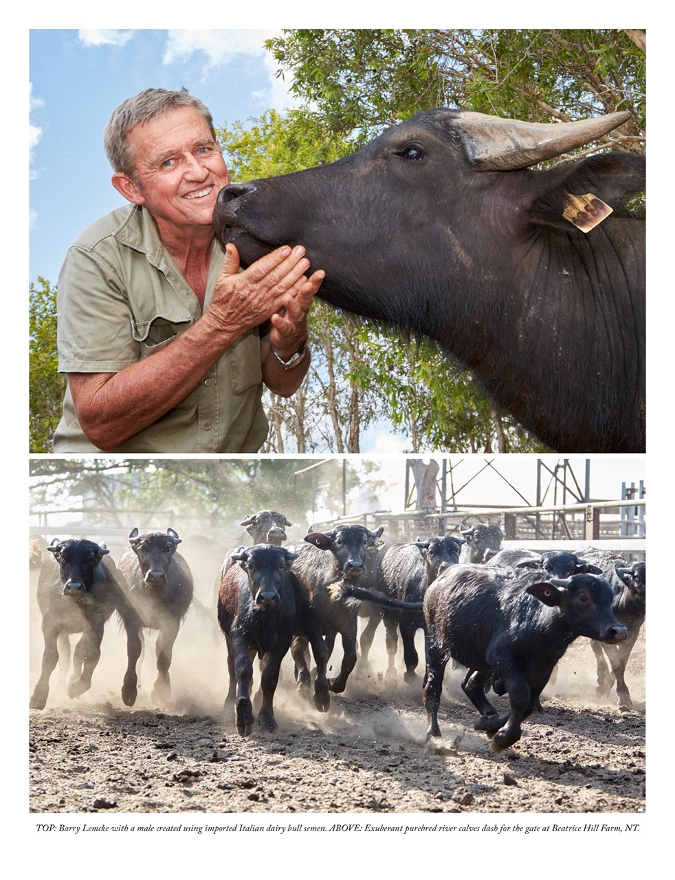 OUTBACK Magazine Preview Pages