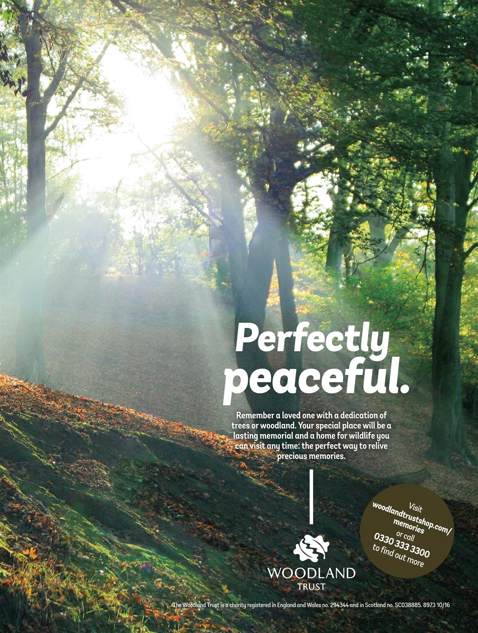 Who Do You Think You Are? Preview Pages