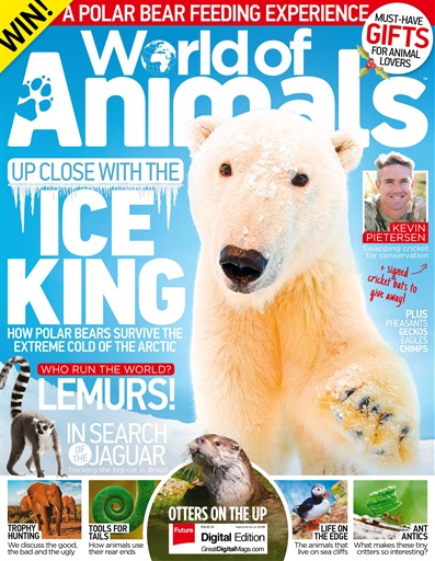 World of Animals issue 