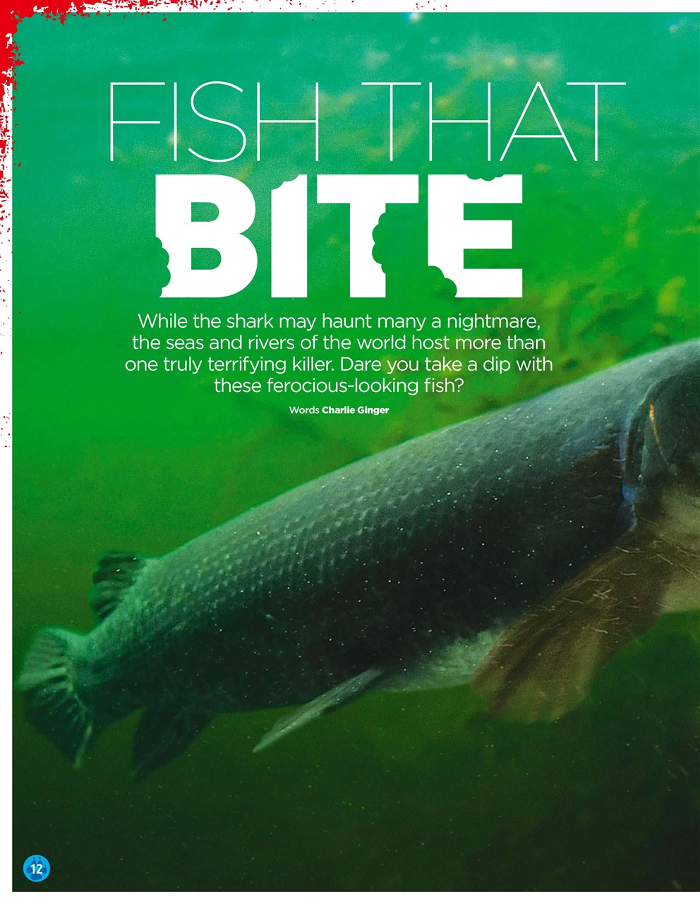 World of Animals Preview Pages