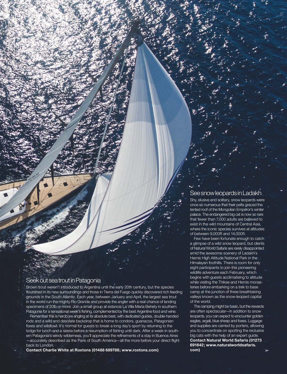 Country Life Preview Pages