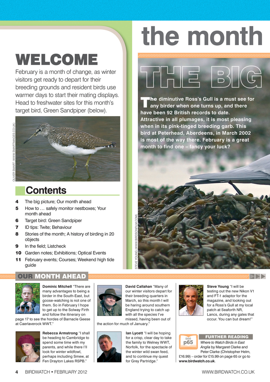 Birdwatch Magazine Preview Pages