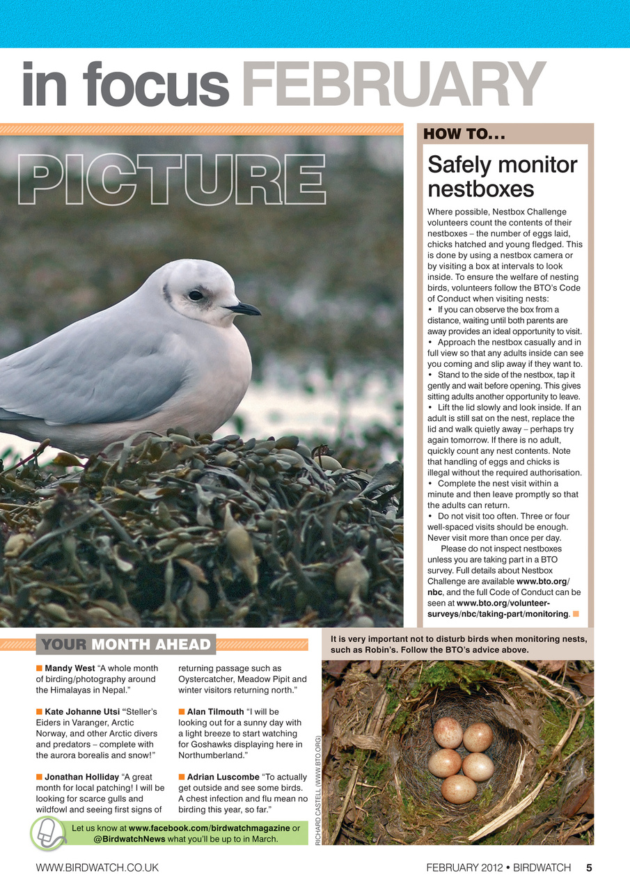 Birdwatch Magazine Preview Pages