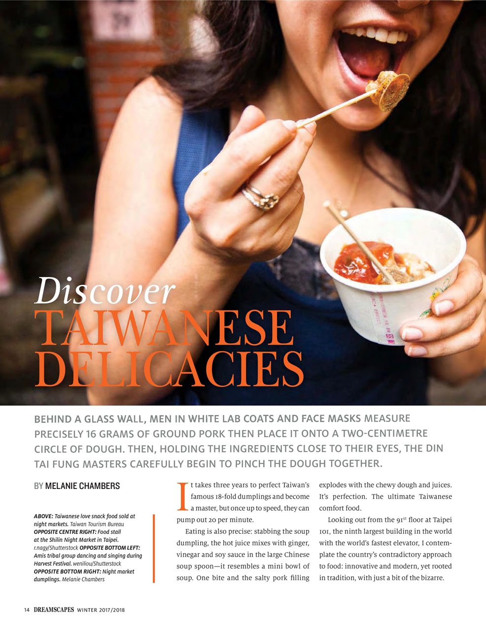 Dreamscapes Preview Pages