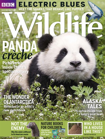 BBC Wildlife Magazine issue December 2017