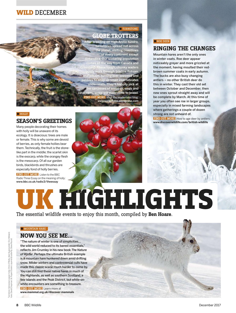 BBC Wildlife Magazine Preview Pages