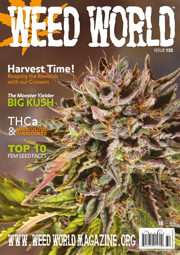Weed World issue 