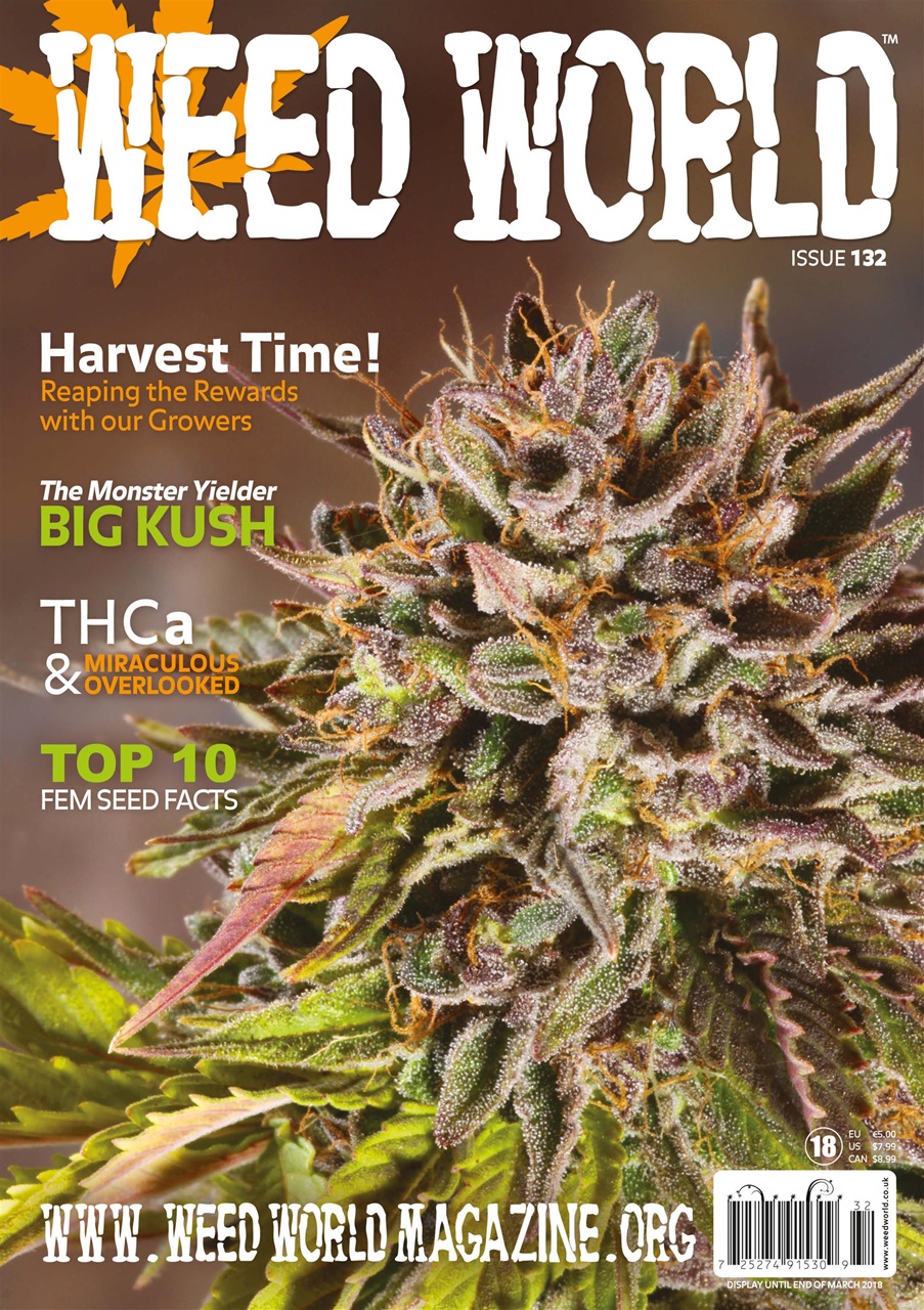 Weed World Preview Pages
