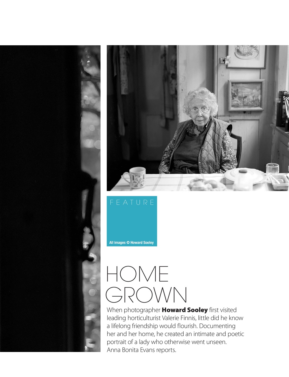 Black+White Photography Preview Pages