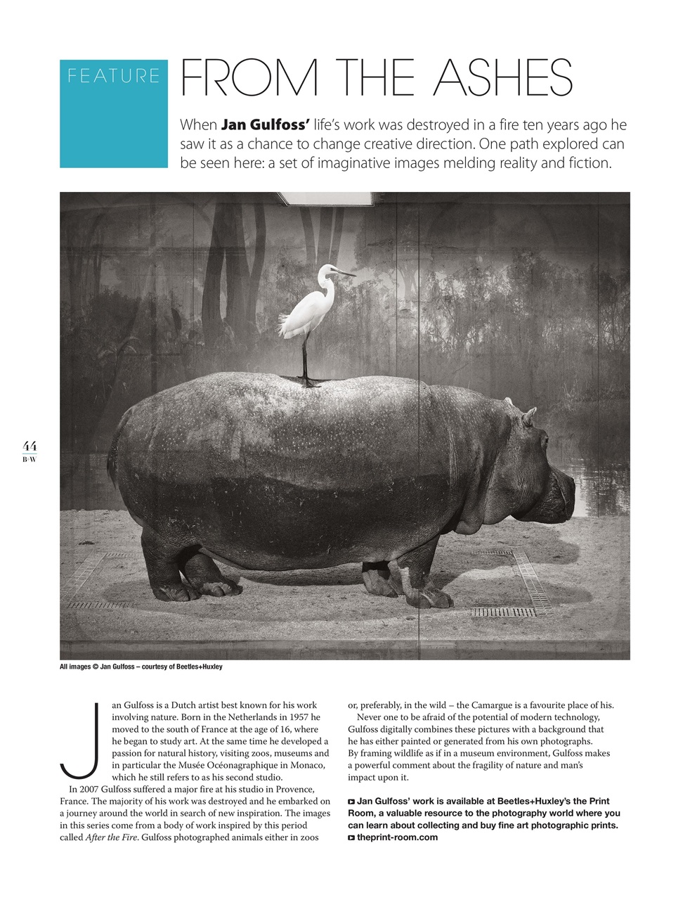 Black+White Photography Preview Pages