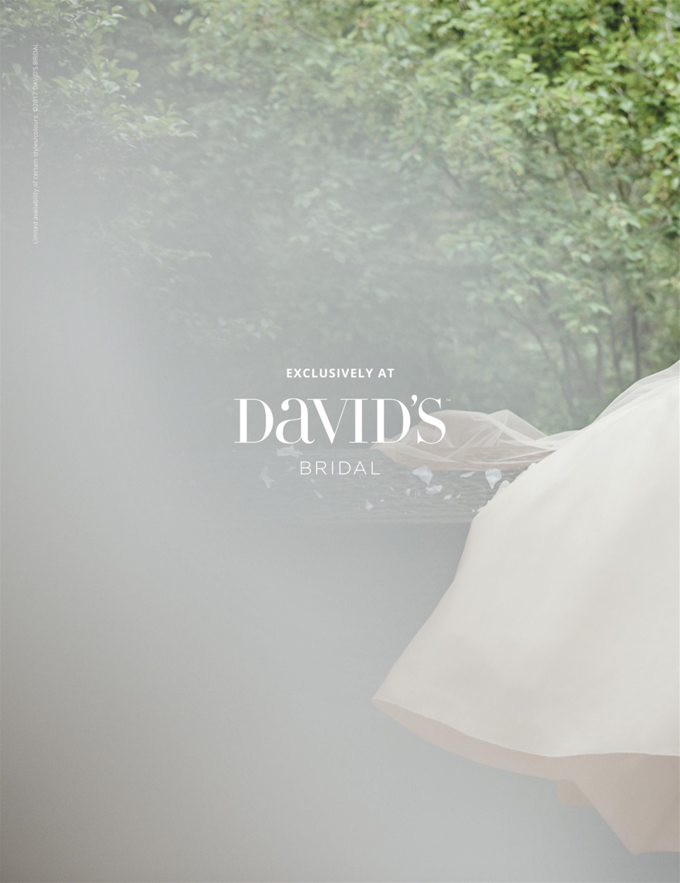 Perfect Wedding Preview Pages