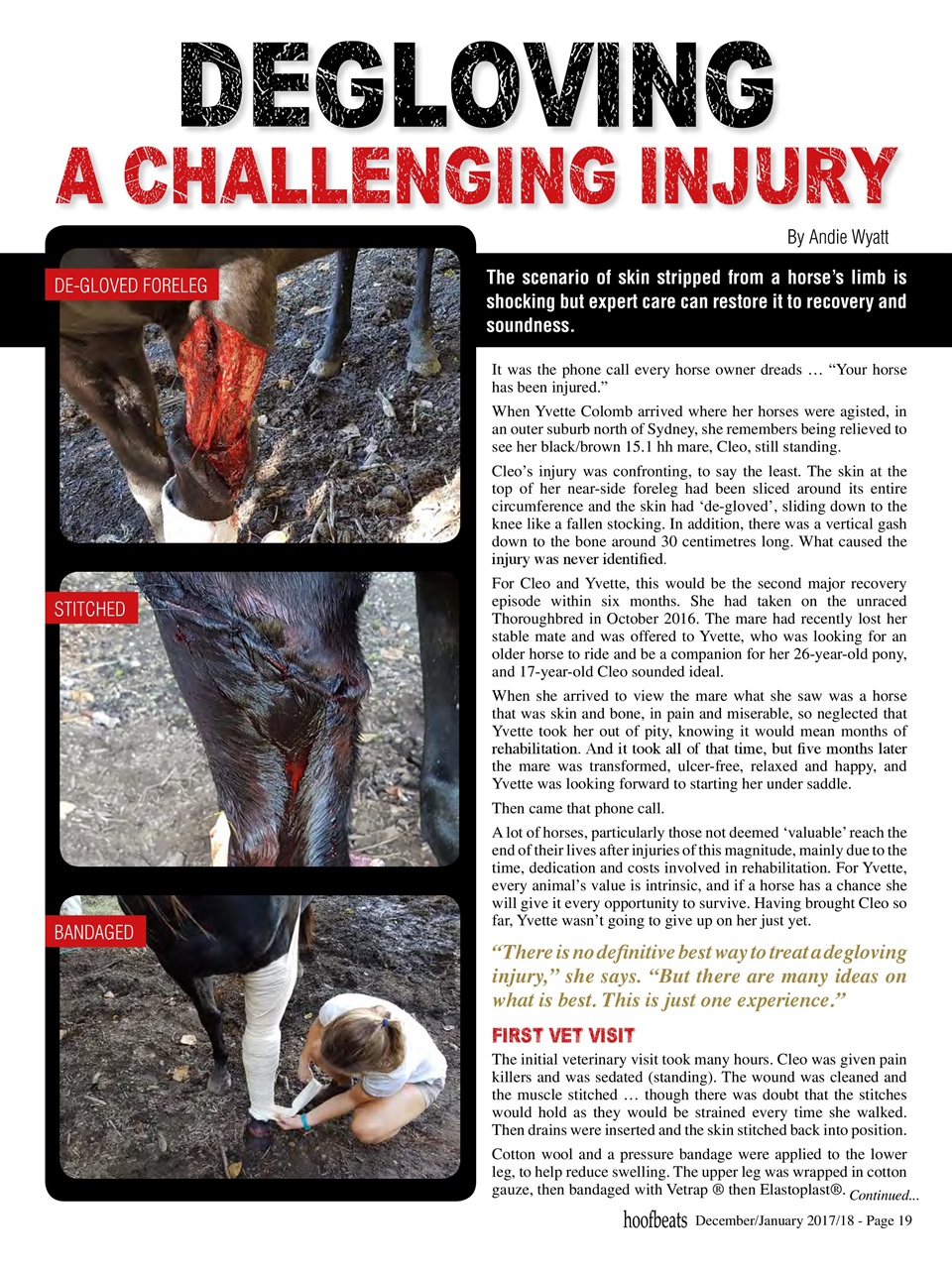 Hoofbeats Preview Pages