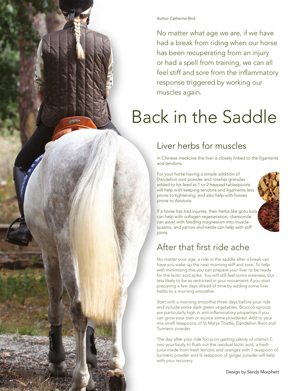 Hoofbeats Preview Pages