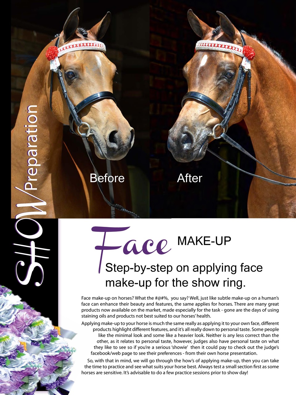 Hoofbeats Preview Pages