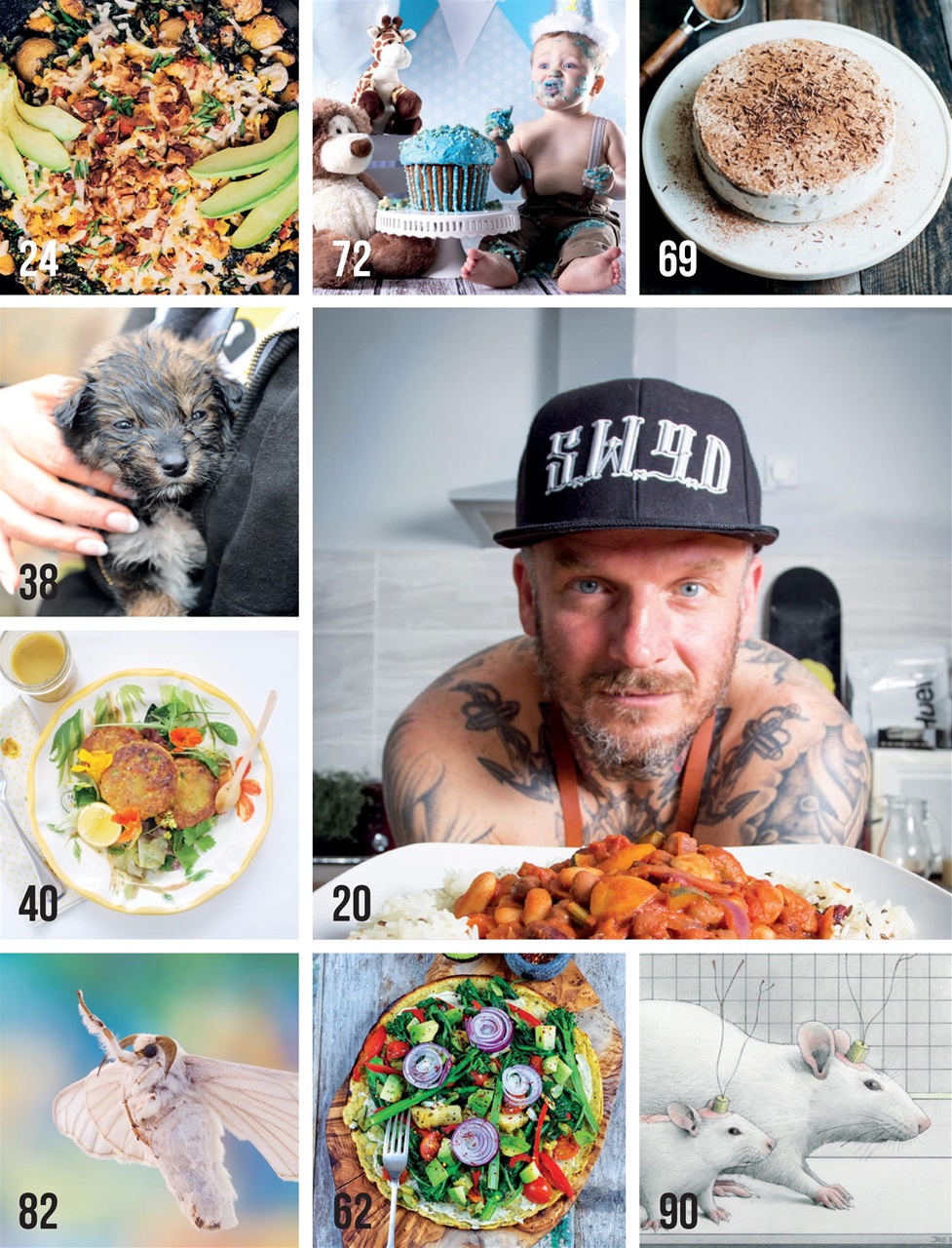 Vegan Life Preview Pages