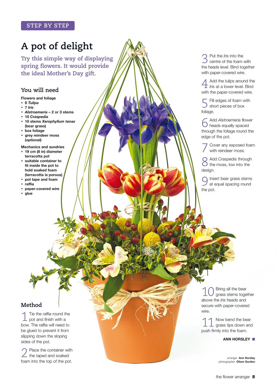 The Flower Arranger Preview Pages