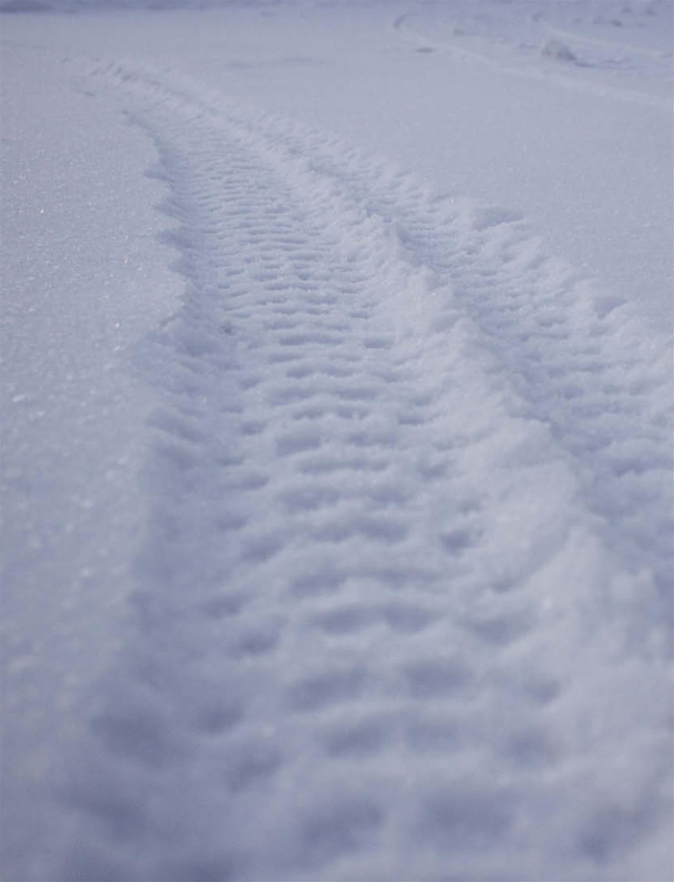 Singletrack Preview Pages