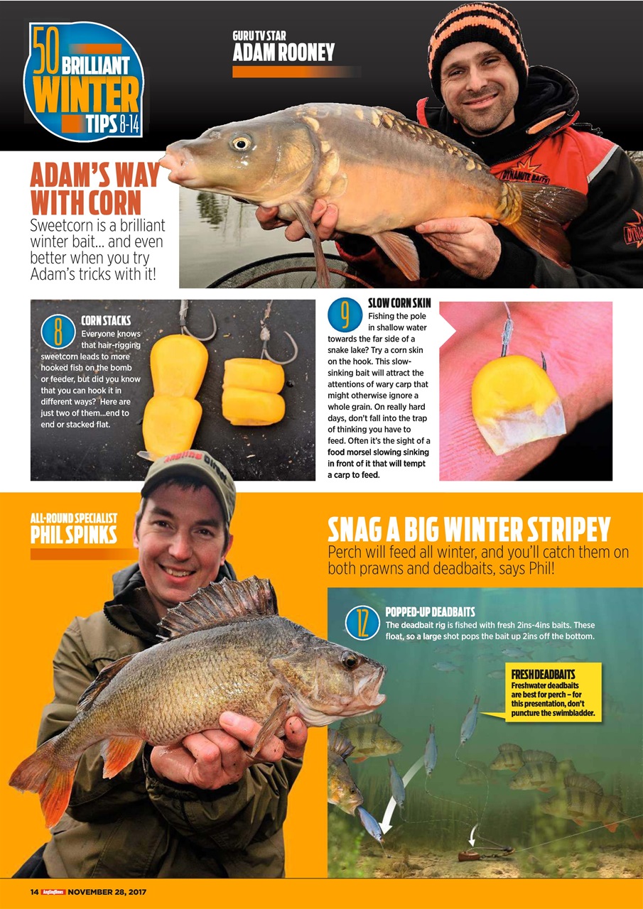 Angling Times Preview Pages